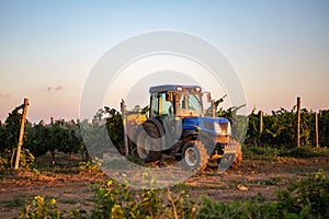 Tractor spraying vineyard with fungicide