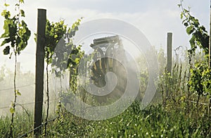 Tractor spraying vineyard with fungicide Yarra Valley Victoria Australia.