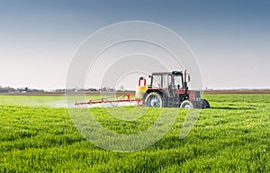 Tractor spraying wheat field