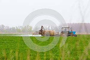 Tractor spraying wheat field with sprayer, herbicides and pesticides.