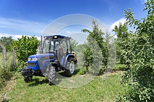 Tractor Sprays Apple Orchard in Springtime