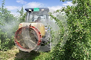 Tractor Sprays Insecticide or Fungicide in Apple Orchard - Spraying Mist Behind Tractor photo