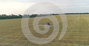 A tractor sprays a wheat field, a top view. Large wheat field drone view. Protecting fields from pests