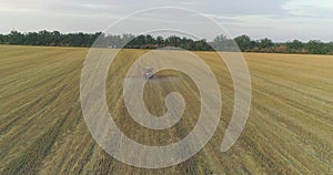 The tractor sprays the wheat fields. Spraying a field with wheat view from a drone. A tractor sprays wheat with