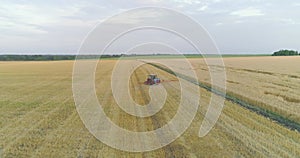 A tractor sprays wheat with herbicides. The tractor sprays the wheat fields. Spraying a field with wheat view from a