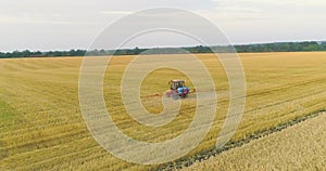 A tractor sprays wheat with herbicides. The tractor sprays the wheat fields. Spraying a field with wheat view from a