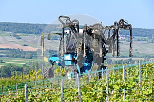 Tractor sprinkles young shoots of grapes on premier cru champagne vineyards in village Hautvillers near Epernay, Champange, France