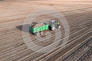 The tractor takes away the dug potatoes from the field