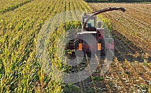 Tractor with thresher machine in a middle of a maize field, half harvested