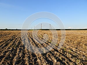 Tractor tilled wheat the field