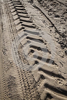 Tractor tire tracks on beach sand