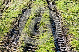 Tractor tire tracks in green grass