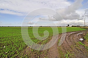 Tractor track on farm field