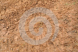 Tractor track on sandy soil