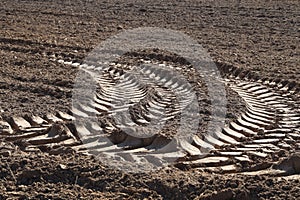 Tractor tracks on the ground of a field