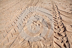 Tractor tracks in the sand