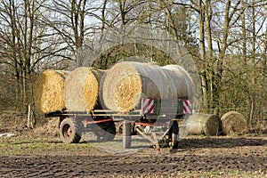 A tractor trailer loaded with round bales of hay in the countryside