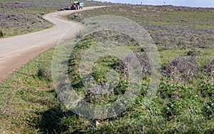 Tractor with trailer