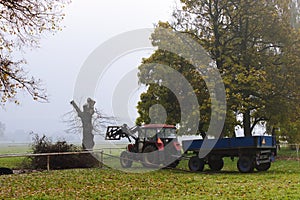 Tractor with trailer loads the branches in a foggy wound