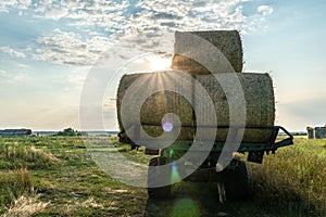 On the tractor trailer there are large round bales of hay against the sunset background. Transportation of hay to silage storage