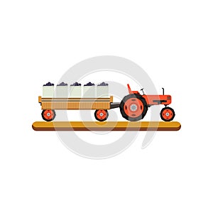 Tractor with trailer transporting ripe grape vector Illustration on a white background
