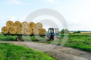 Tractor on trailer transports large round bales of hay. Transportation of hay to places for storage and drying of silage.