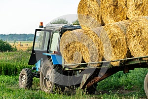 Tractor on trailer transports large round bales of hay. Transportation of hay to places for storage and drying of silage.