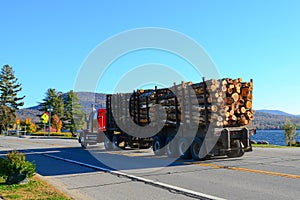 Tractor trailer truck hauling logs