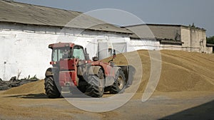 Tractor transports the grain. Granary with mechanical equipment for the shipment of grain. Agricultural farm