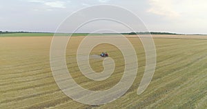 Tractor treats wheat field with pesticides. Processing a wheat field with pesticides. View from a drone.