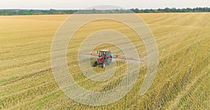 Tractor treats wheat field with pesticides. Processing a wheat field with pesticides. View from a drone.