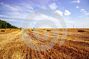 A tractor uses a trailed bale machine to collect straw in the field and make round large bales. Agricultural work, baling, baler,