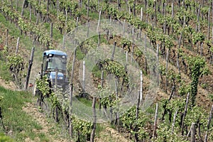 Tractor in vineyard