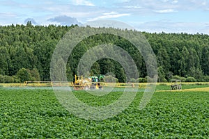 Green and yellow tractor watering a green potato field