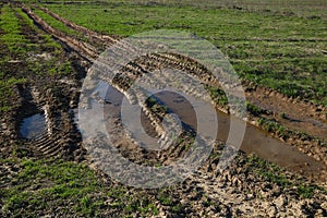 Tractor wheel track in the field