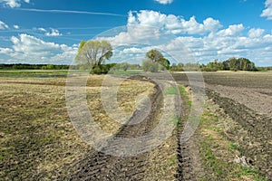 Tractor wheel tracks in field, trees and white clouds on blue sky