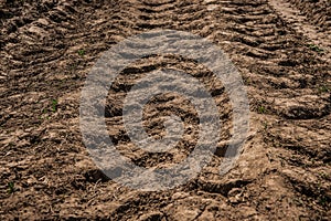 Tractor wheel tracks on the ground