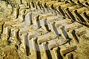 Tractor wheel tracks in the sand.