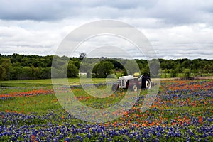 Tractor and Wildflowers