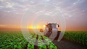 Tractor working in agricultural plots at sunset. 3d render photo