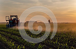 Tractor working in corn field in spring