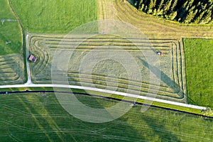 Tractor working on the field