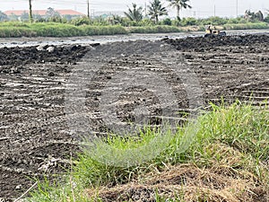 tractor working in the field