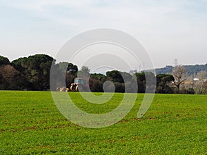 tractor working in field with trees behind