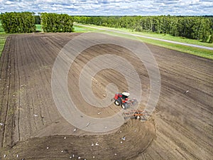 Tractor Working in the Fields, Aerial View. Hay on field. The view from the top. Tractor harvests dry grass