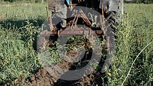 Tractor working on the potato field. Harvesting potatoes with using tractor.