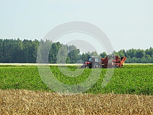 Tractor working in potato field, Lithuania