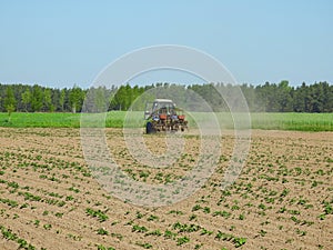 Tractor working in potato field