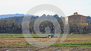 Tractor working in a Spanish paddy field