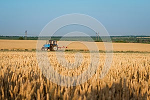 Tractor working on a wheat field